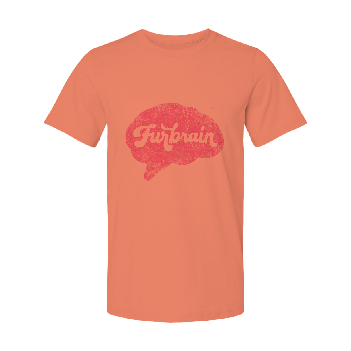 Furbrain Brain / Unisex Crew Neck Tee / Distressed Red Front Imprint
