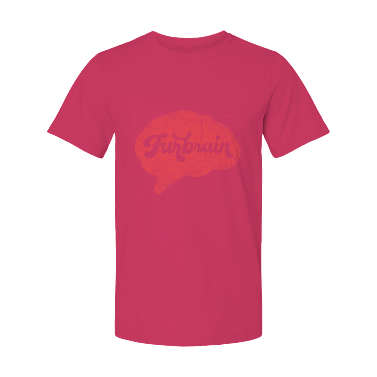 Furbrain Brain / Unisex Crew Neck Tee / Distressed Red Front Imprint
